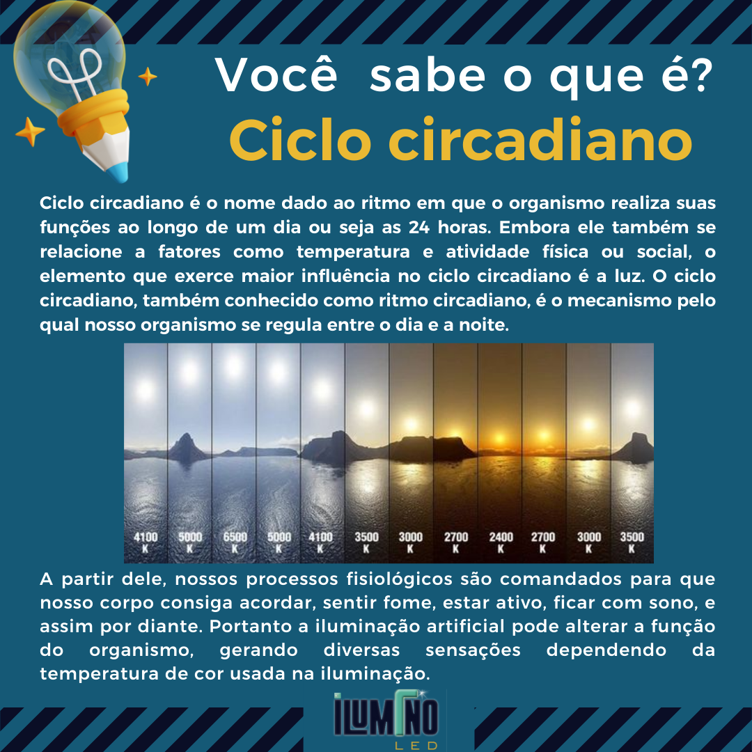 ciclo circadiano.png